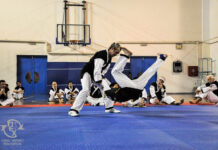 Στιγμιότυπα από το 14ο Πανελλήνιο Σεμινάριο Hapkido 14ο Πανελλήνιο Σεμινάριο Hapkido