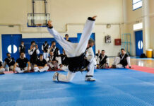 Άλλο ένα επιτυχημένο σεμινάριο εκπαιδευτών Hapkido 25-26/11/2017 επιτυχημένο σεμινάριο εκπαιδευτών Hapkido 25-26/11/2017