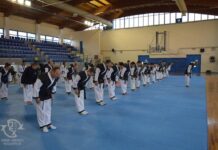 Ολοκληρώθηκε με επιτυχία το 17ο Σεμινάριο Hapkido της ΠΕΧ 17ο Σεμινάριο Hapkido της ΠΕΧ