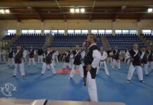 Στιγμιότυπα Από Το 17ο Ανοιχτό Σεμινάριο Hapkido 2017 Στιγμιότυπα Από Το 17ο Ανοιχτό Σεμινάριο Hapkido 2017